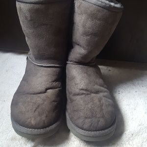 Gray Uggs